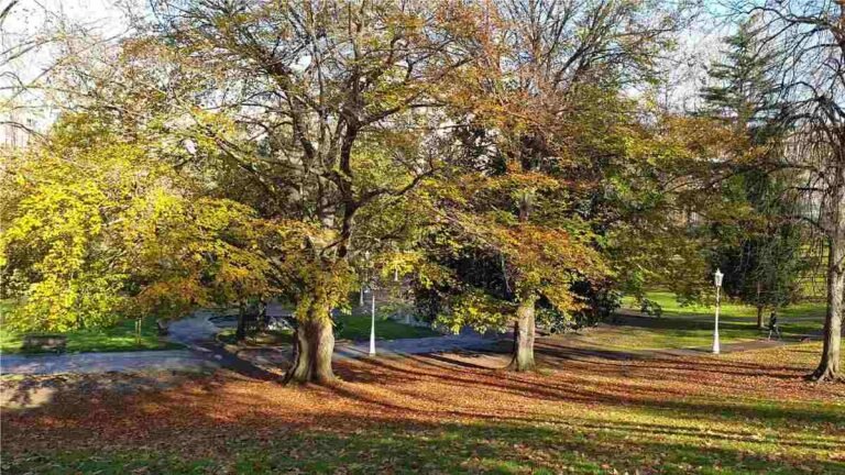 Fuente: Ayuntamiento de Bilbao