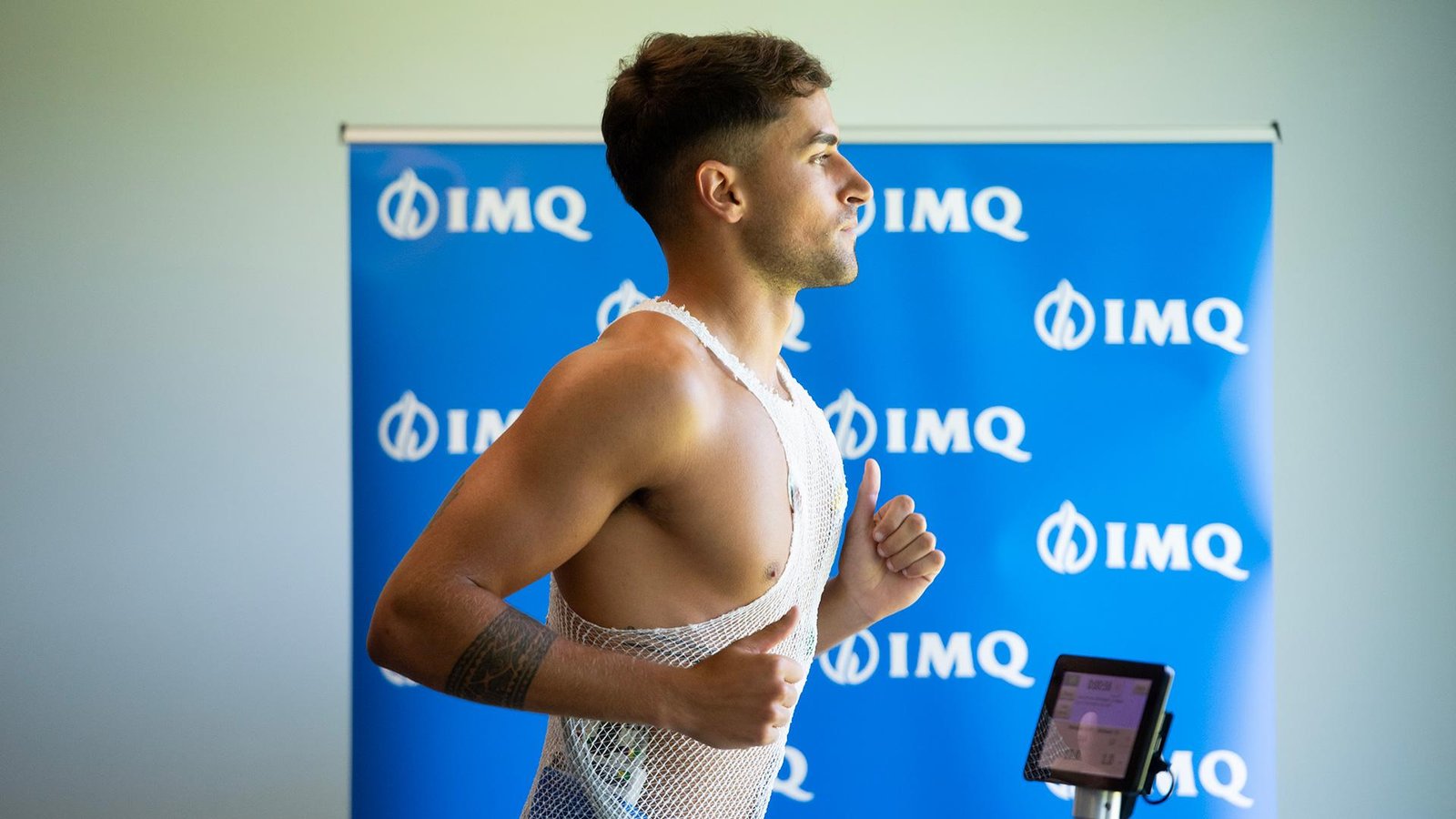 IMQ