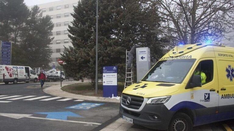 Osakidetza indemnizará con 1,2 millones de euros a padres de Álava tras la muerte de su bebé